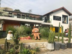 -云里小坐·小院里·团建·宴请·下午茶(三圣乡店)