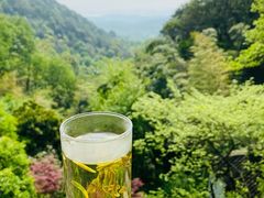 -韬光茶庵