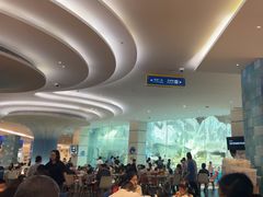 -帝企鹅自助餐厅•儿童岛•真企鹅(长隆企鹅酒店)