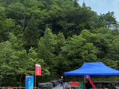 -凤凰山国家森林公园