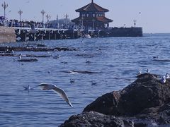 -栈桥景区