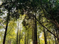 -重庆中央公园(渝北区)