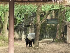-杭州野生动物世界