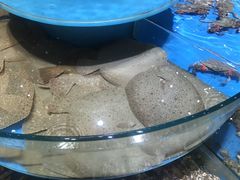 -咱家大院海鲜家常菜