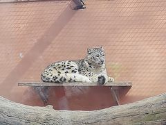 -青藏高原野生动物园