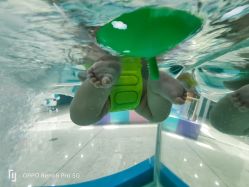 -海豚啵啵体智能游泳馆(惠山万达广场店)