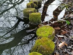 -贵阳市花溪国家城市湿地公园