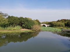 -尚贤河湿地