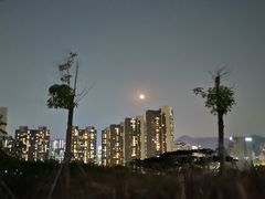 -白石龙音乐公园