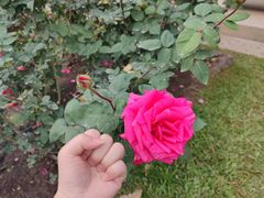 -人民公园(罗湖区)