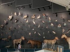 -中国湿地博物馆