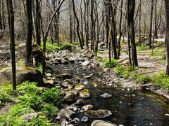 -玉渡山自然风景区
