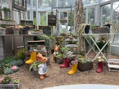 -深圳仙湖植物园