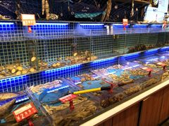 水产区-必点海鲜·鲅鱼水饺(鞍山西道店)