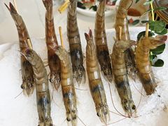 白虾-靓海海鲜火锅(水上湖边观景店)