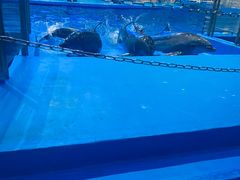 -福州罗源湾海洋世界旅游区