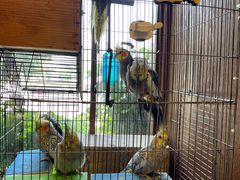 -玉桥餐厅(天坛店)