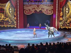 -珠海横琴长隆《卡卡虎奇遇记》