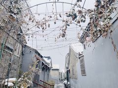 -三里河公园