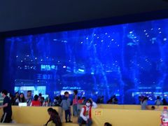 -成都浩海立方海洋公园