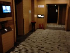 -北京长白山国际酒店(鸟巢店)