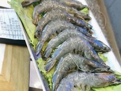 -杨记齐齐哈尔烤肉(总店)