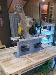 -卡通尼·Safari非洲探索乐园·生日会(金桥国际商业广场店)