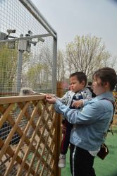 -萌宠亲子动物乐园(槐房万达店)