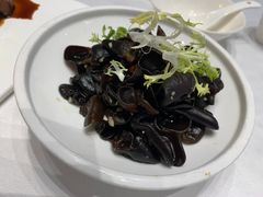 爽口小木耳-乾隆美食·本帮菜(黄河路店)
