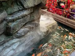 -皇家海洋乐园
