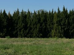 -汉长安城未央宫国家考古遗址公园