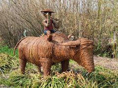 -溱湖国家湿地公园