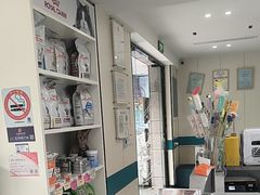 -睿金宠物医院·CT·肿瘤·骨外科