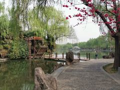 -洛阳市隋唐城遗址植物园