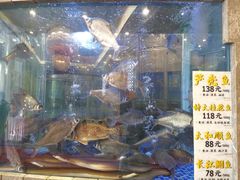 -新兴家喻酒家·羊城名宴(昌岗店)