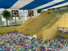 -南宫五洲植物乐园