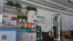 点击看大图 -茗梵谷造型