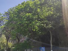 -幕燕滨江·长江观音景区