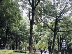 -重庆市江北嘴中央商务区中央公园