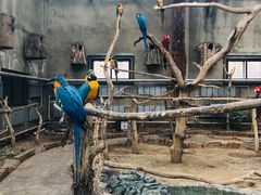 -大连森林动物园