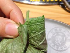 -红辣椒八爪鱼特色韩国料理专门店(远景路旗舰店)