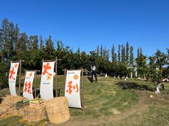 -前小桔亲子创意农场·草莓采摘·露营烧烤