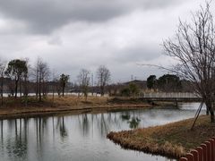 -南湖湿地公园