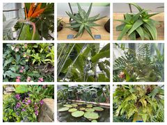 -国家植物园南园
