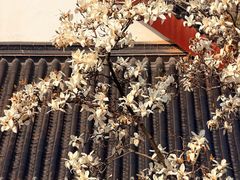 -堤角公园