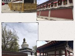 -塔尔寺