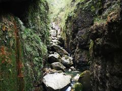 -鹿院坪生态旅游景区