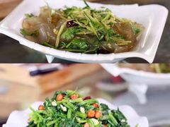 -草根堂农场
