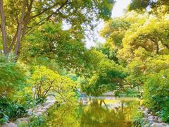 -成都市活水公园