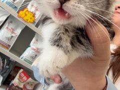 -宠颐生宠物医院·犬猫全科·皮肤科(商业街店)